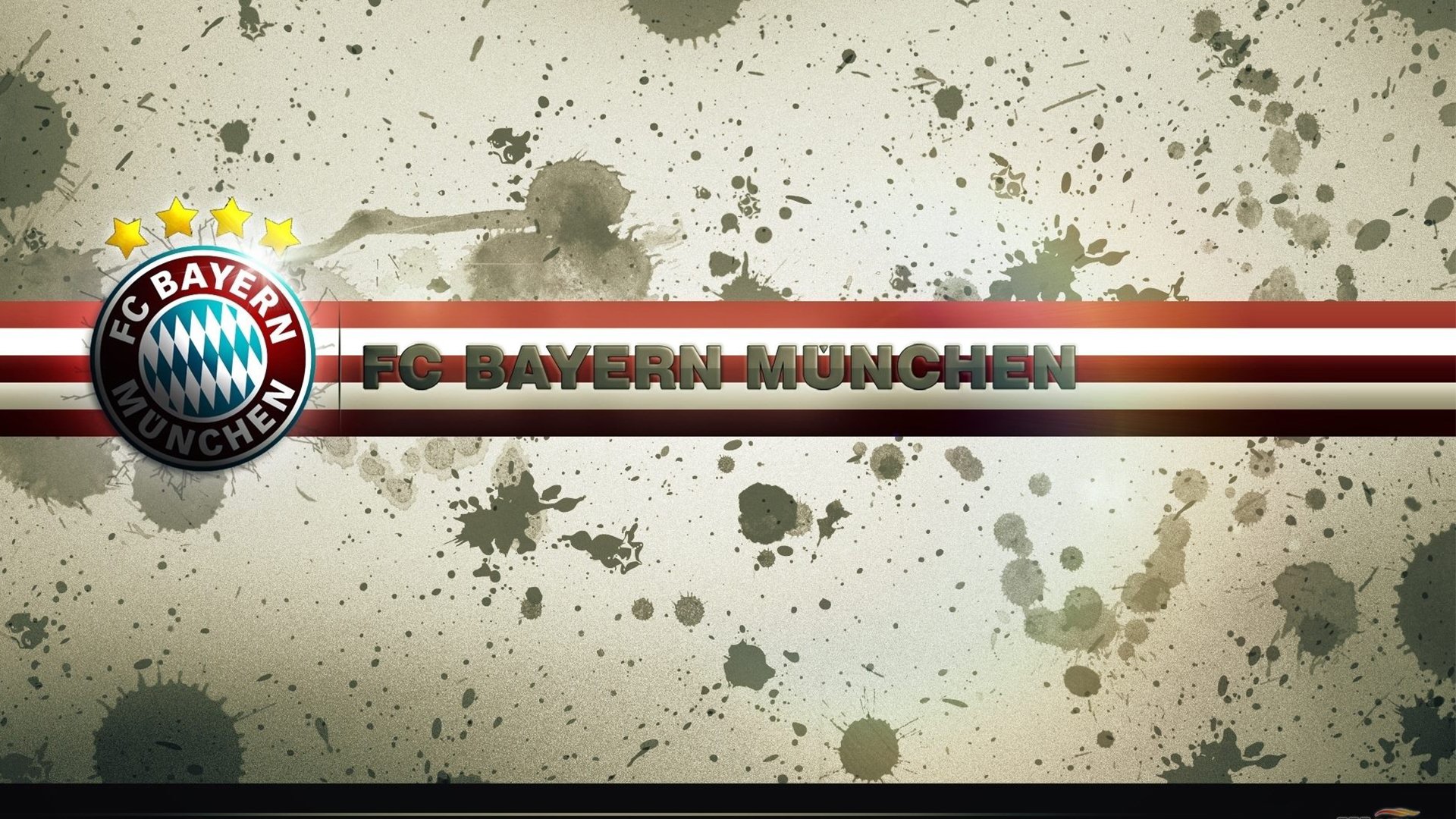 体育社团活动对学生社会能力培养影响路径研究，对体育社团的认识