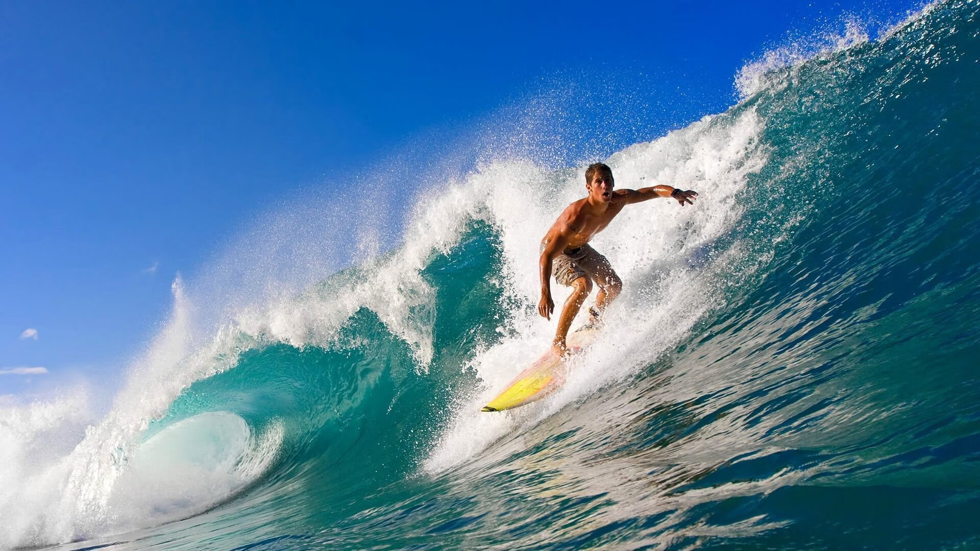 体育新闻中心启动体育宣传短视频编辑专项训练营，体育宣传片视频素材